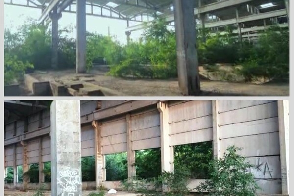 Сын перестал выходить на связь: пропавшего одессита нашли убитым 