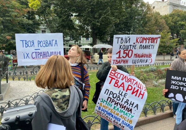 Собрались сотни людей: смотри, как в Одессе проходит Марш в защиту животных