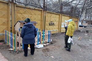 На поселке Котовского одесситы установили теплый домик для котов