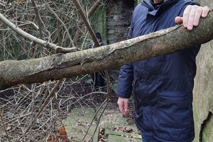Как выглядит бункер времен Второй мировой на Даче Ковалевского 