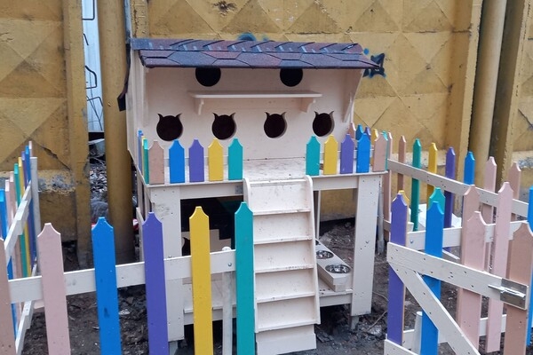 На поселке Котовского одесситы установили теплый домик для котов