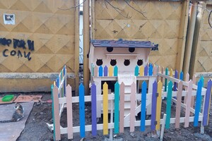 На поселке Котовского одесситы установили теплый домик для котов