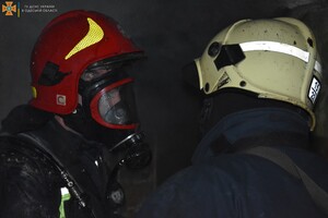 В Одессе спасатели вынесли из горящей квартиры котов и собаку