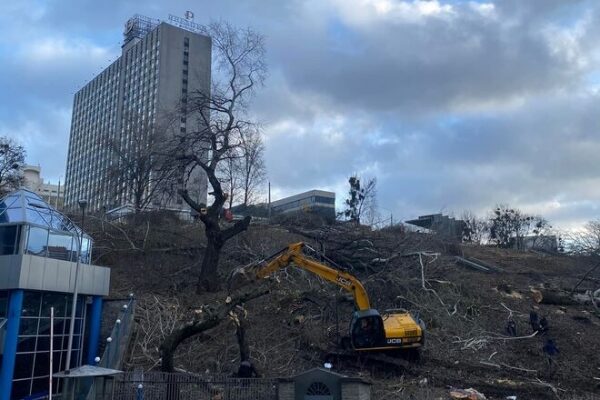 
Возле стадиона "Олимпийский" в Киеве срубили деревья &ndash; будут строить 30-этажный дом
