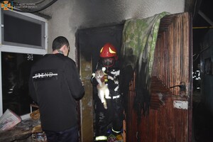 В Одессе спасатели вынесли из горящей квартиры котов и собаку