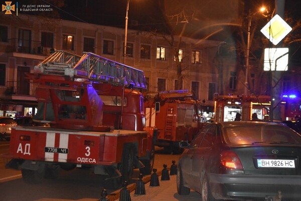 В Одессе спасатели вынесли из горящей квартиры котов и собаку