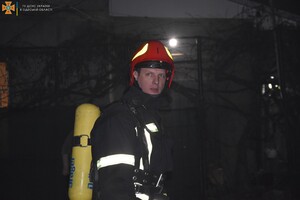 В Одессе спасатели вынесли из горящей квартиры котов и собаку