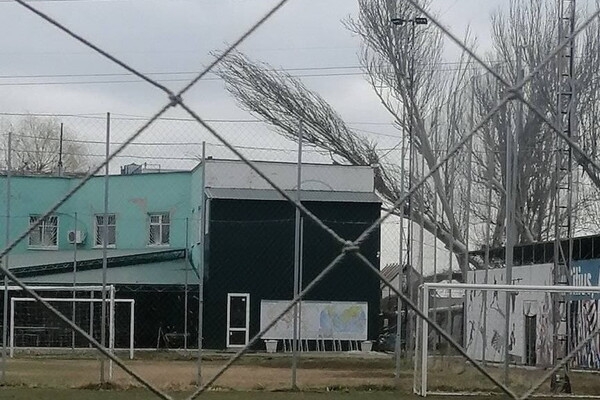Вчера в Лузановке дерево сгорело изнутри из-за попавшего осколка