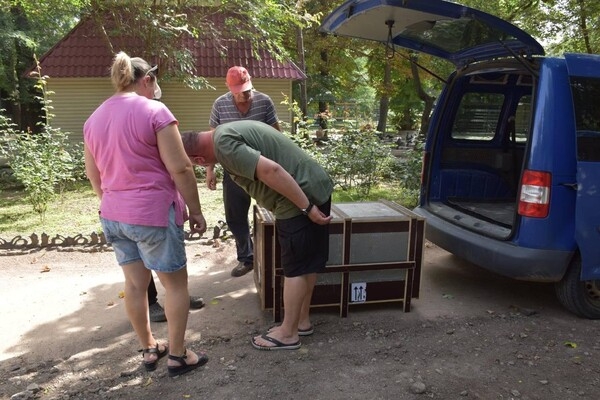 В Одесский зоопарк привезли гиеновидную собаку