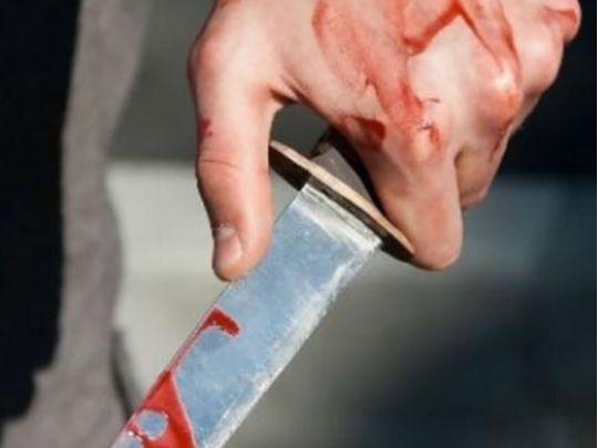 В&nbsp;Ірландії напали на&nbsp;матір з&nbsp;донькою з&nbsp;України: дівчинка отримала 74 ножові поранення