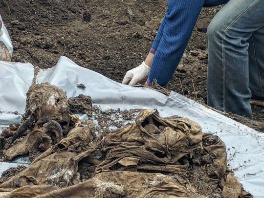 «Усього знайдено сім тіл — шестеро хлопців і дівчинка, всіх здав її прийомний батько»: страшна історія з Херсонщини