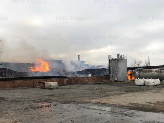 Росія знову у вогні: дим від масштабної пожежі видно за багато кілометрів (відео)