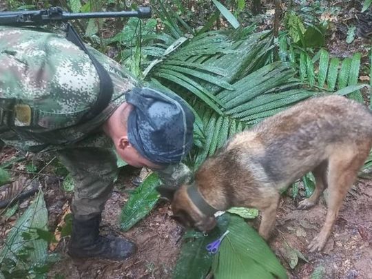 У Колумбії четверо дітей провели після авіакатастрофи 16 днів у джунглях