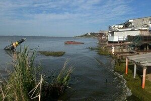 На нескольких пляжах Одессы и Одесской области снизилась соленость воды в Черном море На нескольких пляжах Одессы и Одесской области снизилась соленость воды в Черном море