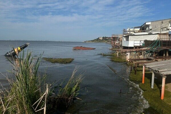 На нескольких пляжах Одессы и Одесской области снизилась соленость воды в Черном море На нескольких пляжах Одессы и Одесской области снизилась соленость воды в Черном море