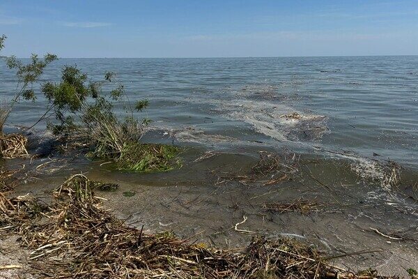 На нескольких пляжах Одессы и Одесской области снизилась соленость воды в Черном море На нескольких пляжах Одессы и Одесской области снизилась соленость воды в Черном море