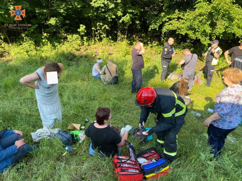 На Волині вантажівка перекинула мікроавтобус з майже 20 пасажирами, є постраждалі (фото)
