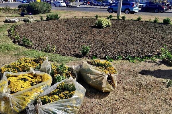 В Одессе преображают Старобазарный сквер