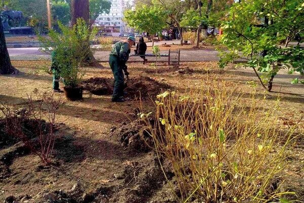 В Одессе преображают Старобазарный сквер