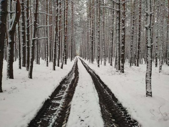 Морози посиляться, а&nbsp;на&nbsp;півдні тепло, навіть з&nbsp;&laquo;плюсами&raquo;: яка погода чекає українців найближчими днями