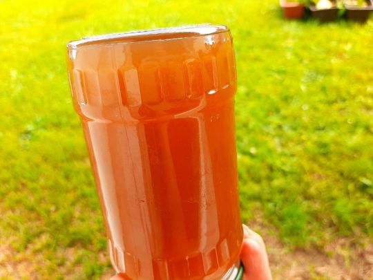 Домашній м’ятний сироп: такий не купите в магазині