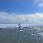 Одеваемся теплее: какая погода будет в Одессе на следующей неделе