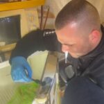 Тело малыша в морозильной камере в Одессе: трагедию прокомментировал омбудсмен