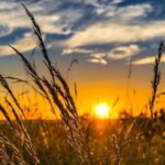 День летнего солнцестояния-2025: все о самом длинном дне года