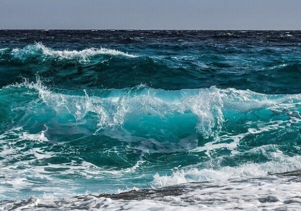 Морская вода в Одессе безопасна: загрязнение нефтепродуктами не зафиксировано Морская вода в Одессе безопасна: загрязнение нефтепродуктами не зафиксировано