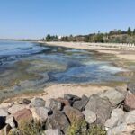 Почернение моря в Одесском районе: что обнаружили экологи