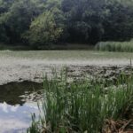 Яким буде вересень в Україні і коли чекати перші холоди: синоптики здивували прогнозом