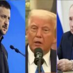 Трамп має намір провести зустріч як з путіним, так і з Зеленським: що про це відомо