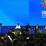 Ліси Вірменії зникають: тривожний сигнал перед COP 17