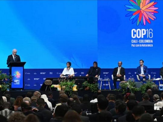 Ліси Вірменії зникають: тривожний сигнал перед COP 17