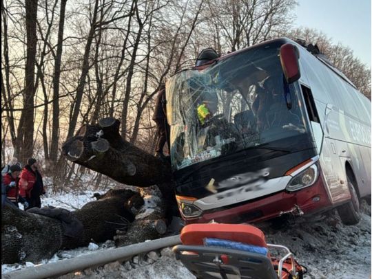 Автобус Відень&nbsp;&mdash; Київ розбився на&nbsp;Львівщині: є&nbsp;постраждалі (фото)