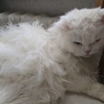 Завершение отопительного сезона в Одессе: когда прекратят теплоснабжение