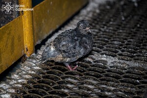 РФ атаковала Одесчину дронами: под ударом оказался объект критической инфраструктуры